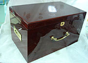 EBOT110553