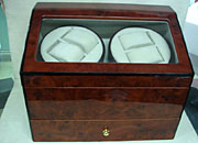 EBOT110552