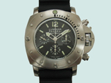 PNRs109