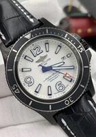 BR200313